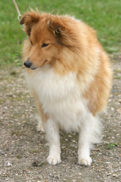 Ultime décision Of blue tails